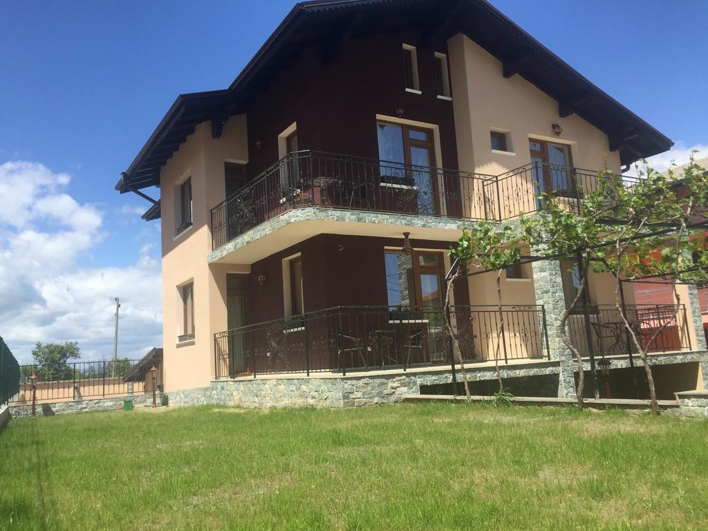Villa Koko Hills Saparewa Banja Zewnętrze zdjęcie